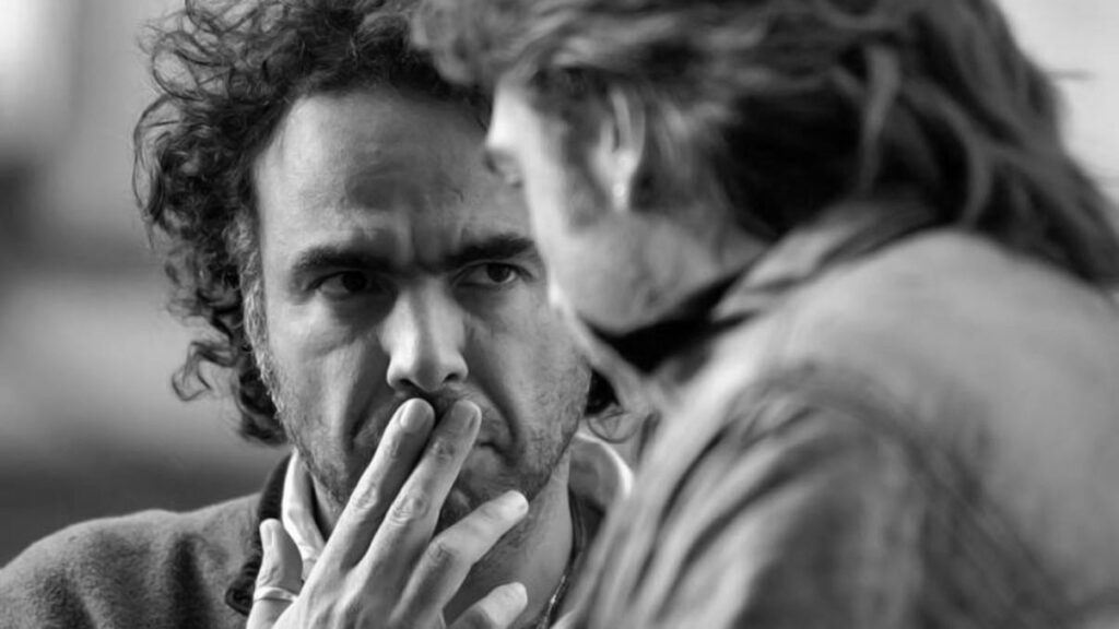 Violencia, familia, aleatoriedad y muerte: El cine de Alejandro G. Iñárritu (II)
